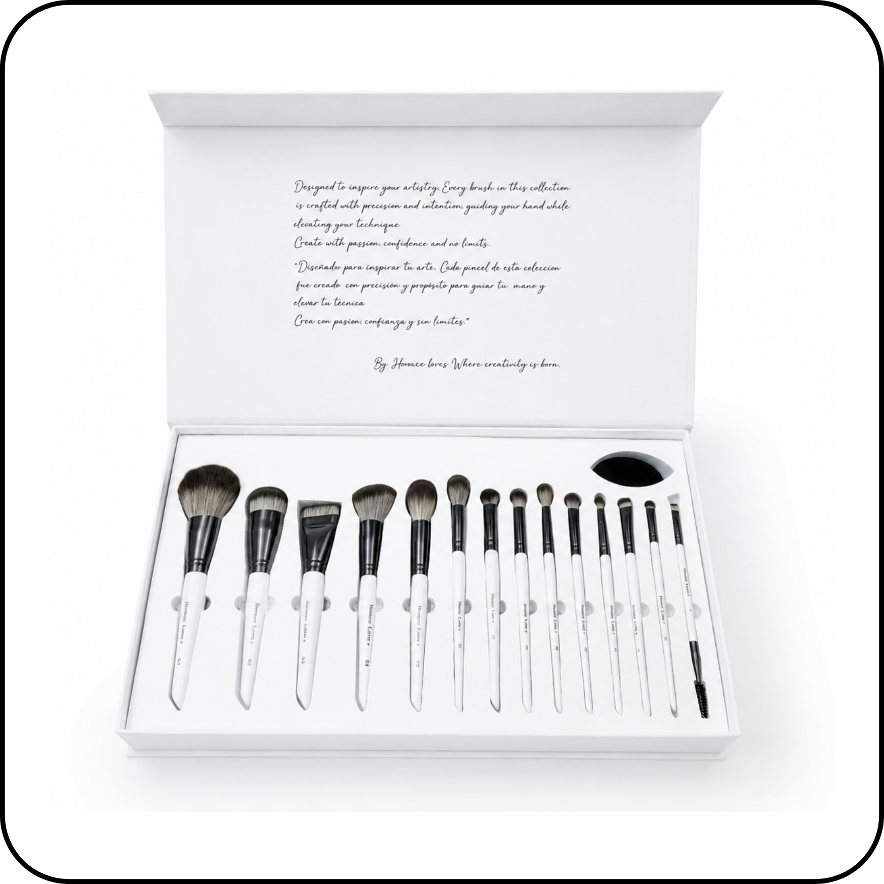 Set de Brochas HL - 25% más cabello